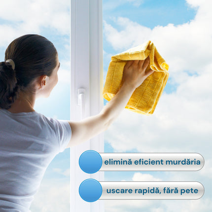 Solutie pentru geamuri, Fabi, cu pulverizator