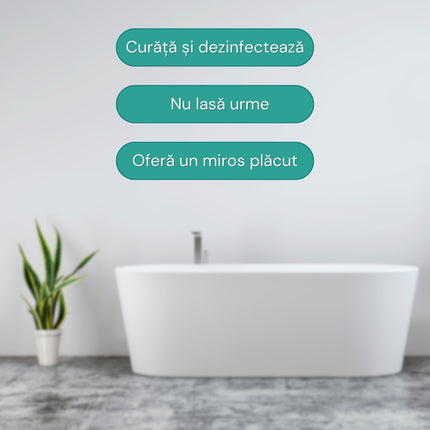 Detergent Sanitar (pentru obiecte sanitare), Fabi, dezinfectant