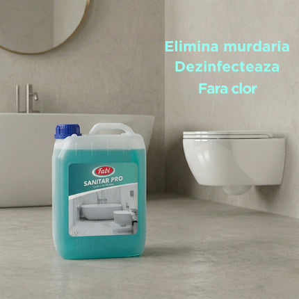 Detergent sanitar Fabi Pro