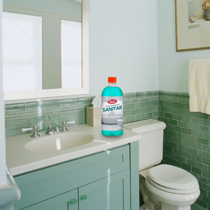 Detergent dezinfectant obiecte sanitare