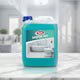 Fabi Pro - Detergent sanitar dezinfectant pentru toalete, 5L